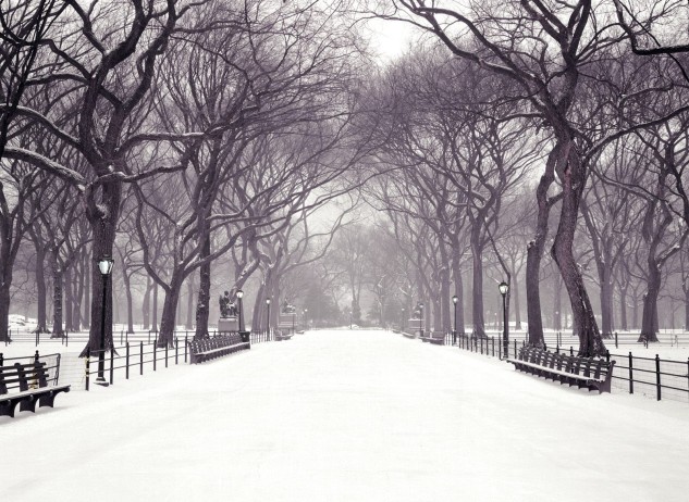 central_park_winter_snow_wallpaper-other